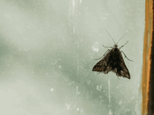 nocni ormaric